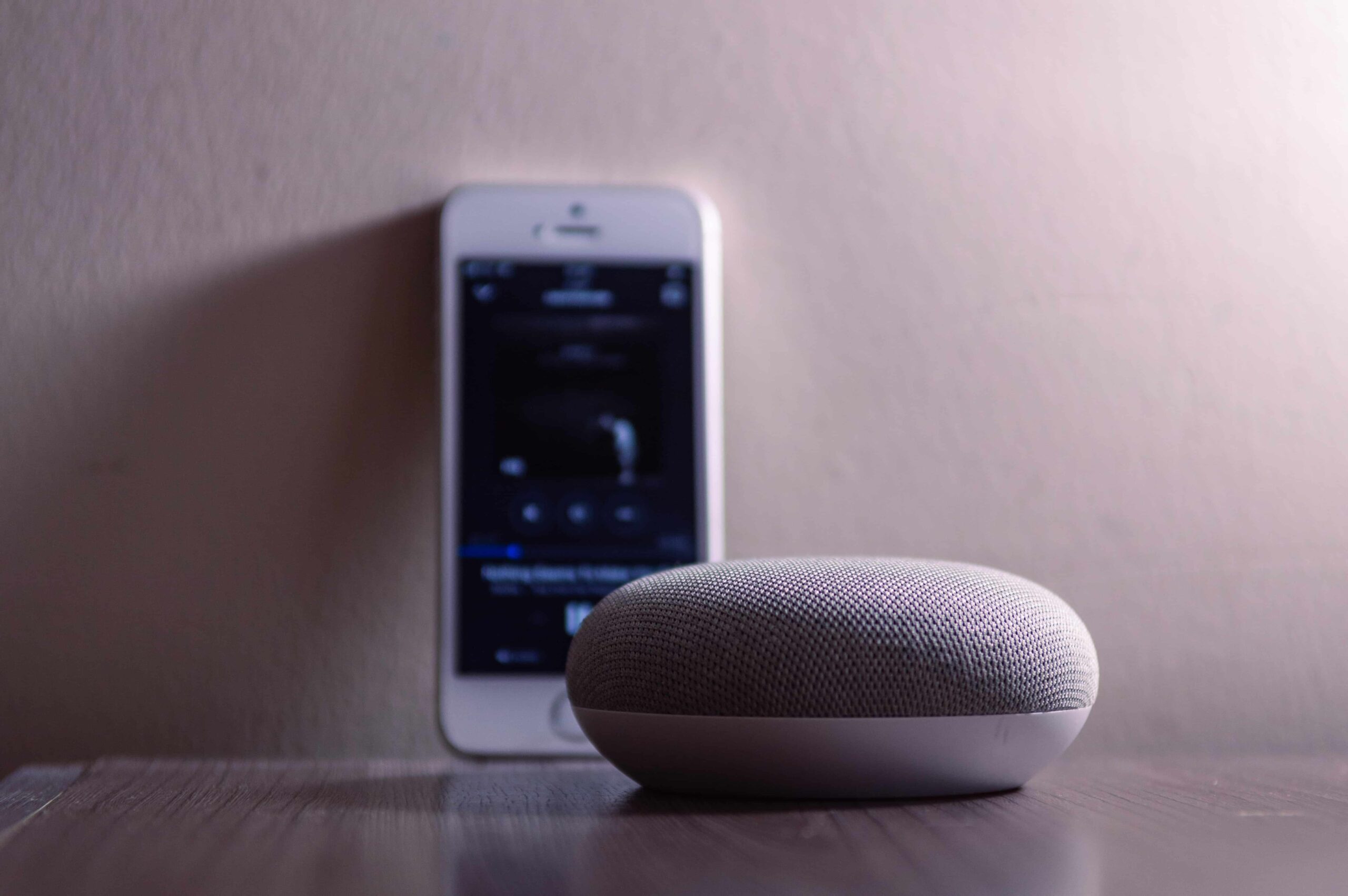 Portable Speaker